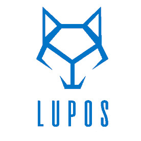 LUPOS DIŞ TİCARET Logo | Our team has guided Turkish businesses through the complexities of Chinese imports and international logistics.