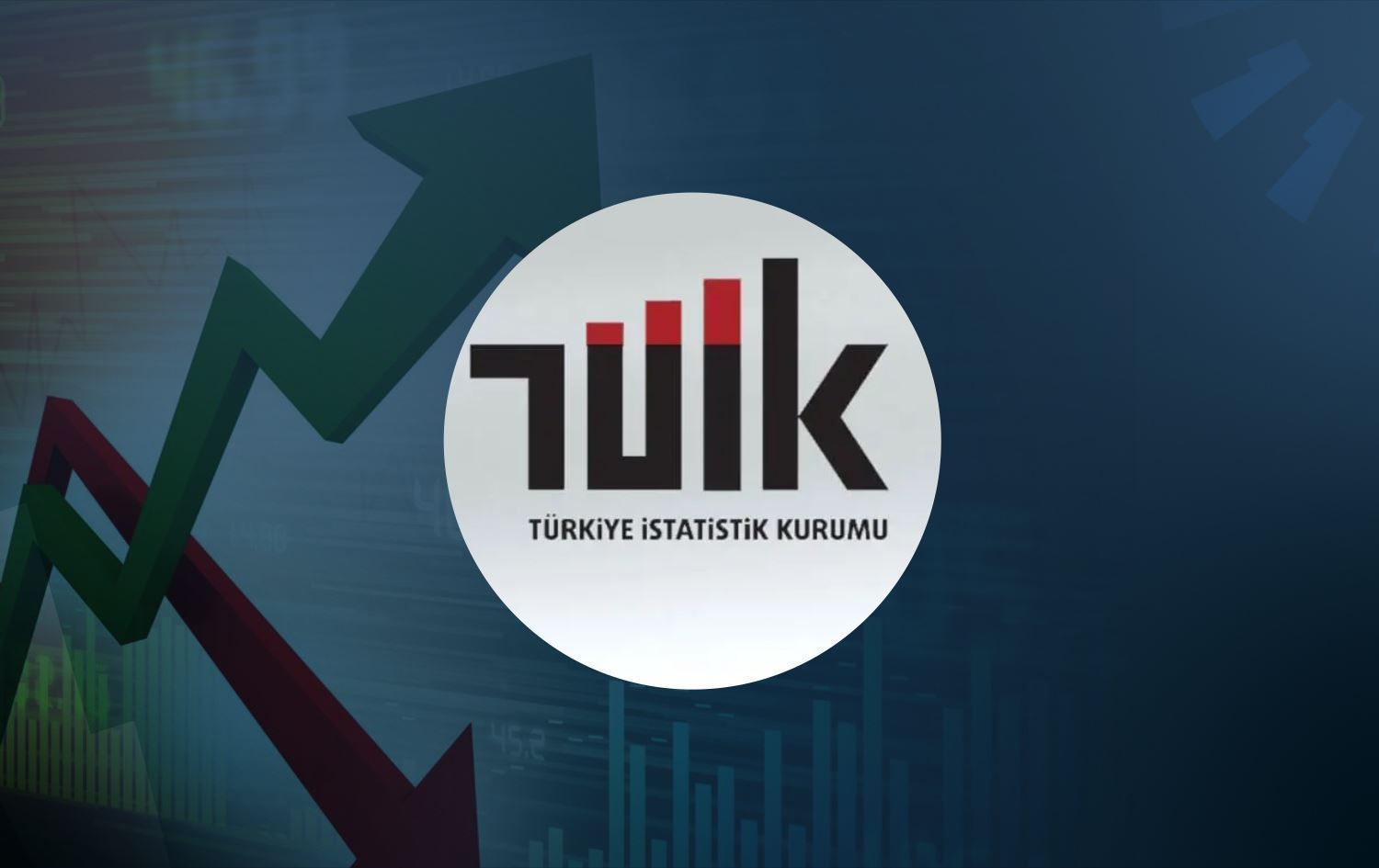 Türkiye İstatistik Kurumu (TÜİK) logosu